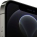 Apple iPhone 12 Pro Max 256GB (2 sim-карты) (Графитовый) фото 1