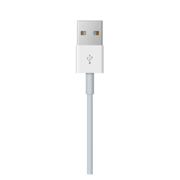 Зарядное устройство для Apple Watch Apple Watch Magnetic Charging Cable 1m