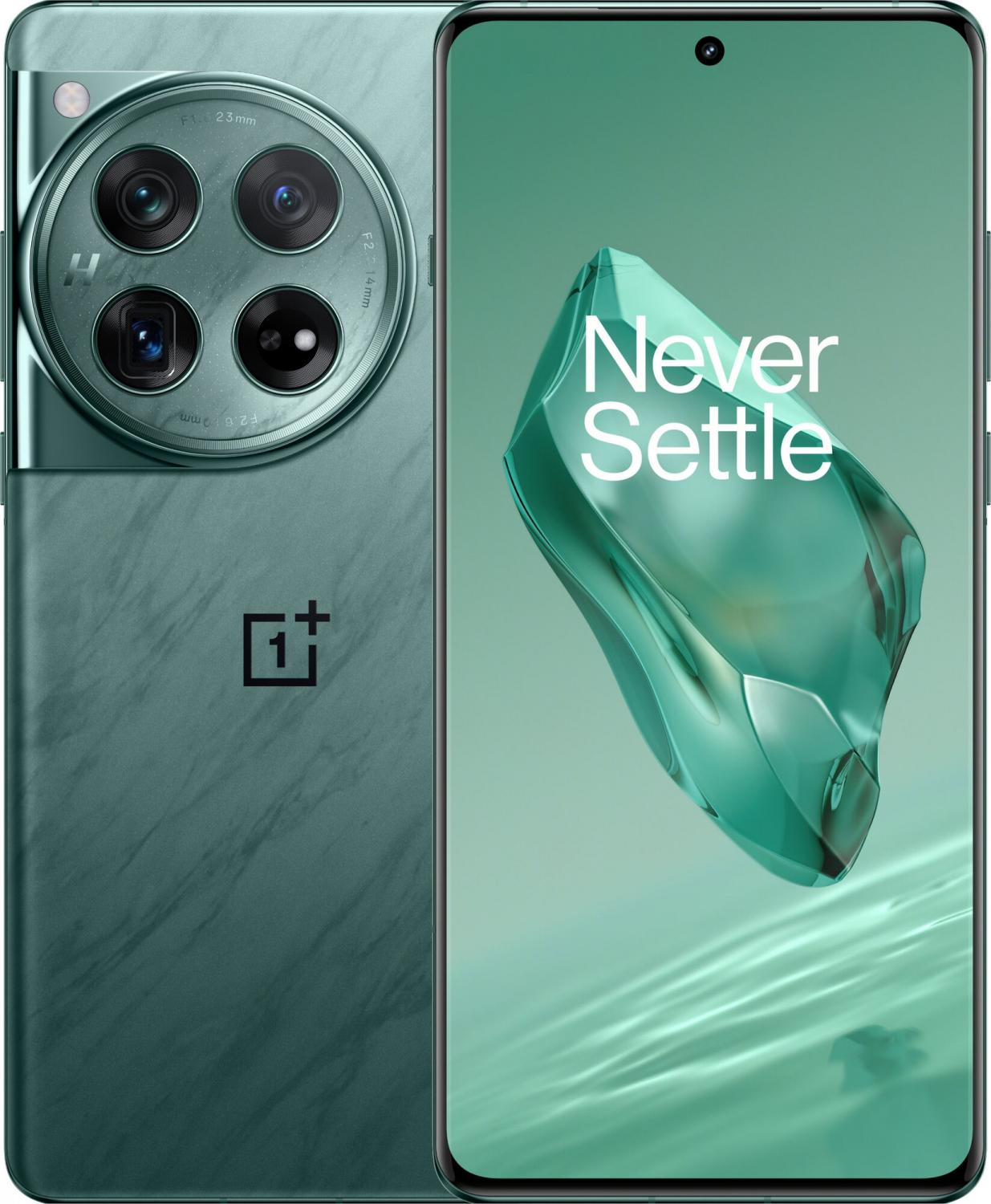 Смартфон OnePlus 12 12/256Gb Flowy Emerald