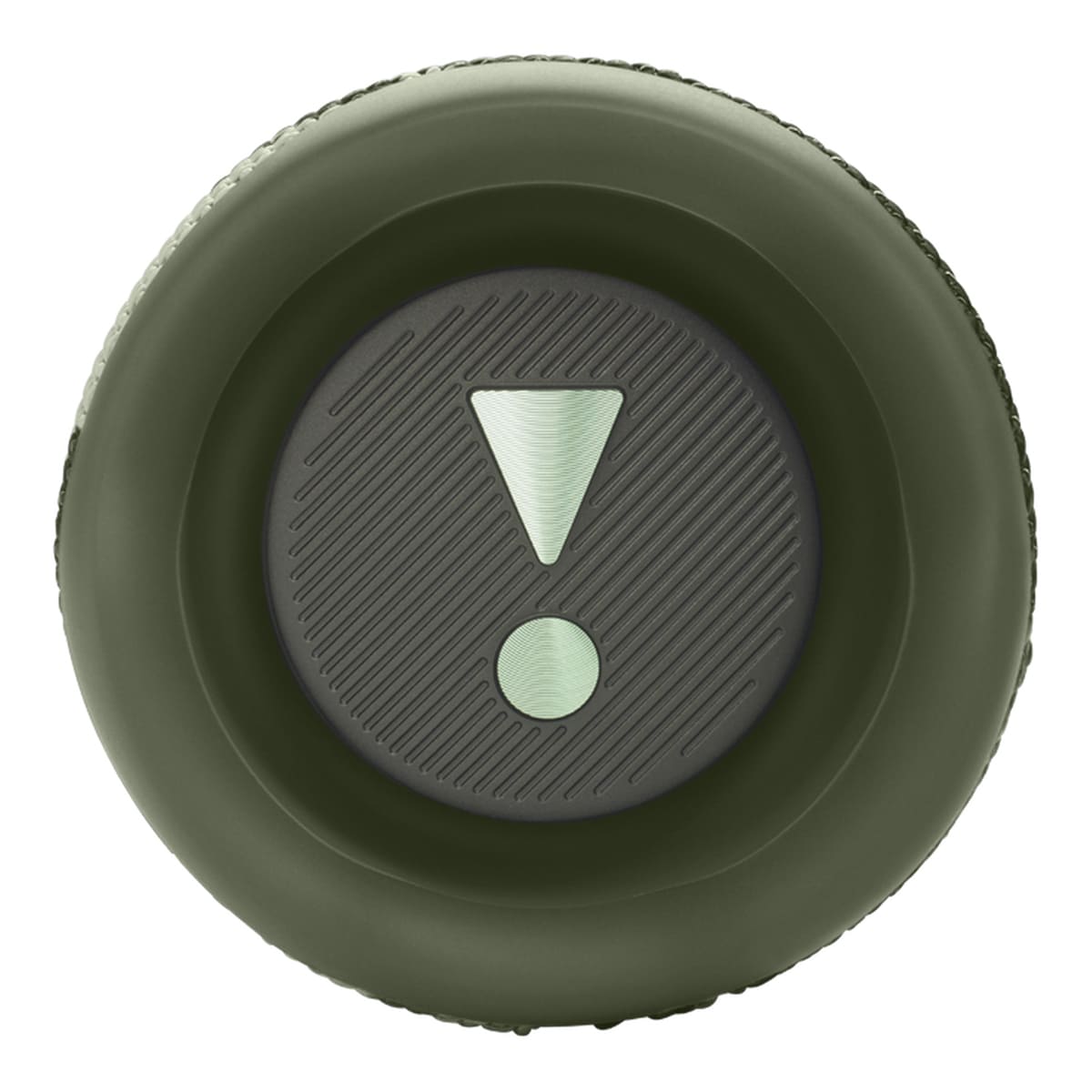 JBL Flip 6 Камуфляж