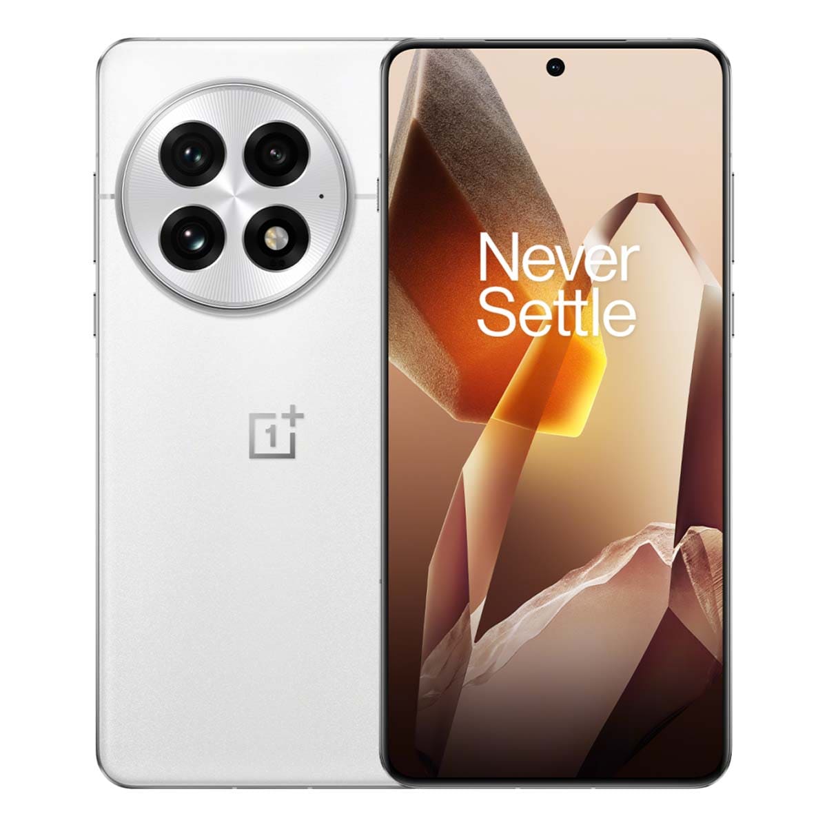 OnePlus 13 (2024) 24/1Tb White, белый