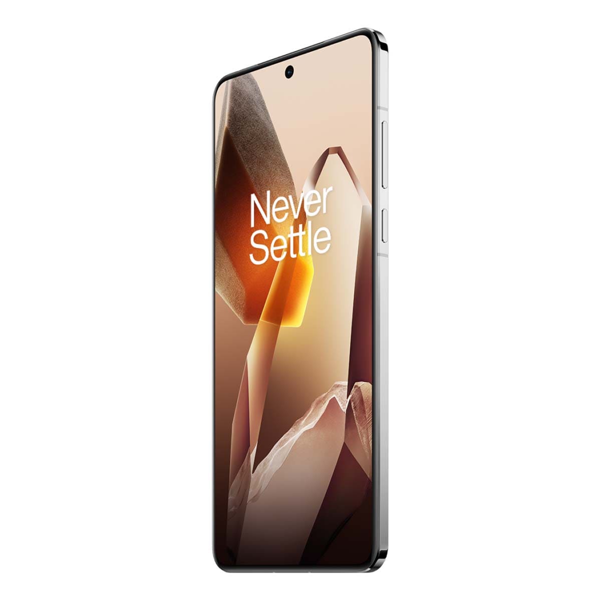 OnePlus 13 (2024) 24/1Tb White, белый