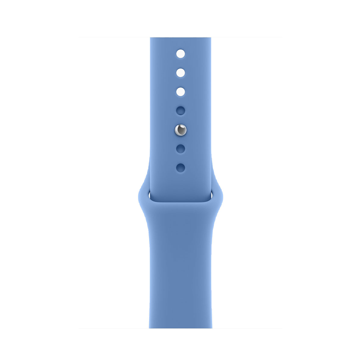 Apple Watch Series 12, 46 мм корпус из алюминия цвета «Space Gray», ремешок Sport Band размера S/M цвета «Wildflower Blue»
