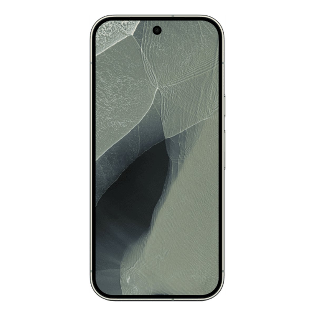 Google Pixel 11 Pro XL 12/256Gb Olive, оливковый