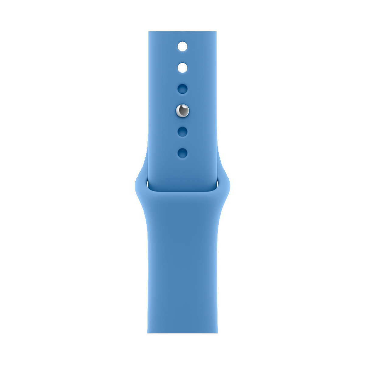 Apple Watch Series 12, 42 мм корпус из алюминия цвета «Space Gray», ремешок Sport Band размера S/M цвета «Wildflower Blue»