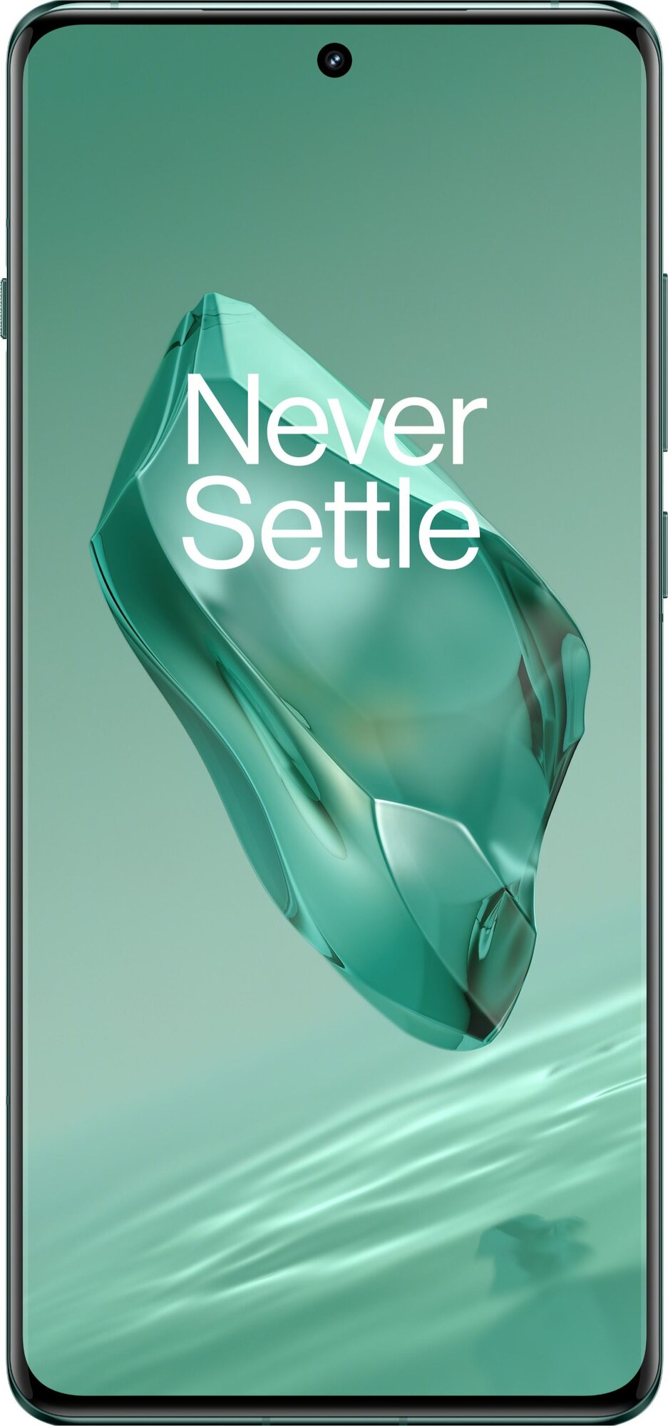 Смартфон OnePlus 12 16/1Tb Flowy Emerald