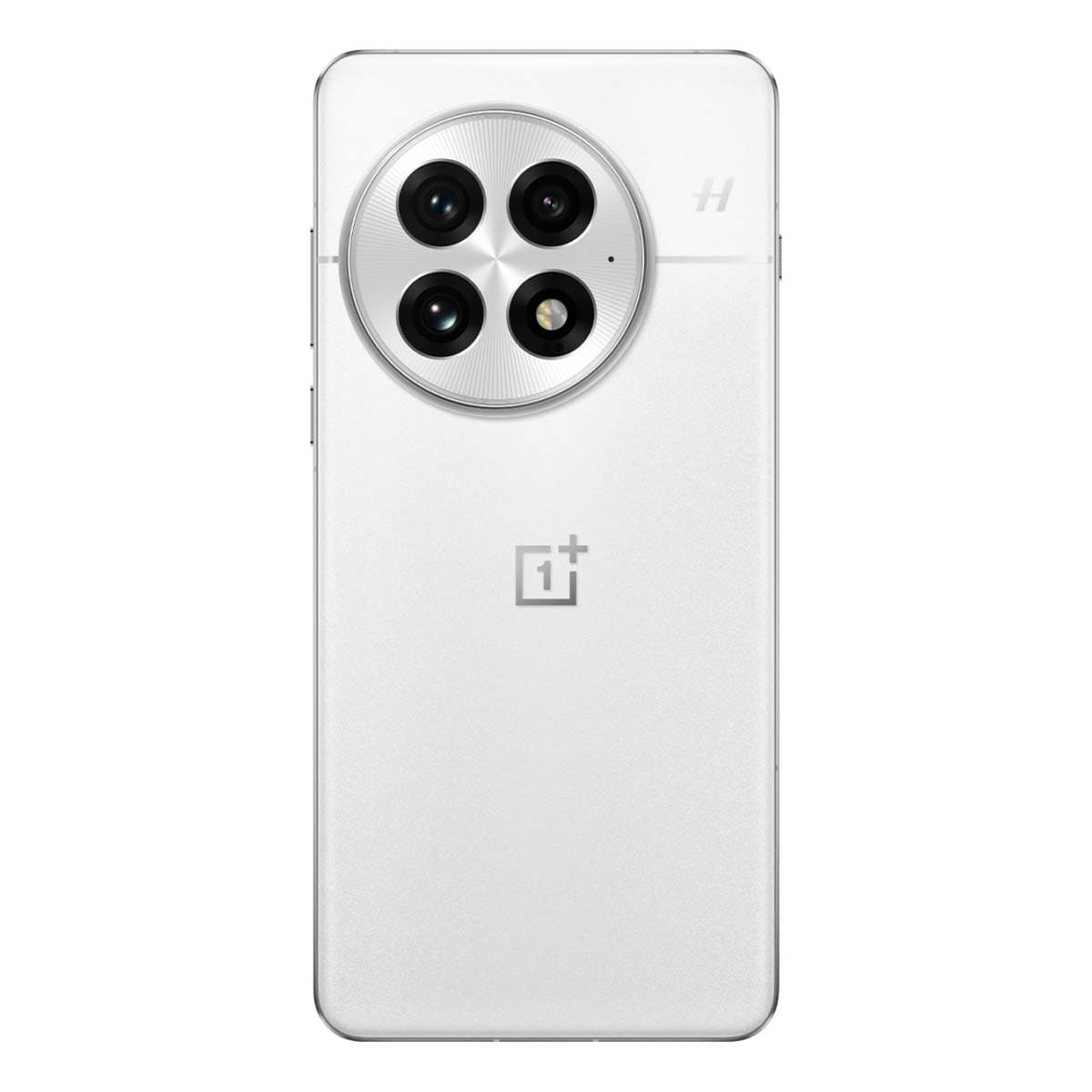 OnePlus 13 (2024) 24/1Tb White, белый